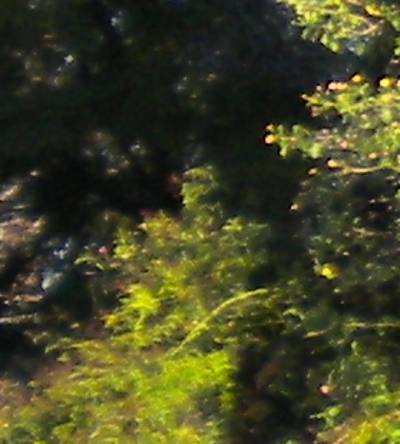 3512_2.jpg