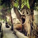 :-O Tree