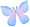 butterfly2