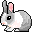bunny bunny