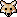 fox fox