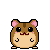 hamster3 hamster3